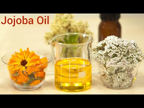 All Amazing Health Benefits of Jojoba Oil