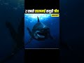 Real Mermaid Found! 🤯 Real jalpari 🧜♀️ Mysterious Deep Sea Creatures Spotted #shorts