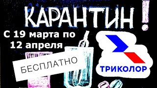 С 19 Марта Триколор Бесплатно Для Новых Абонентов! Вместо Гречки И Туалетной Бумаги