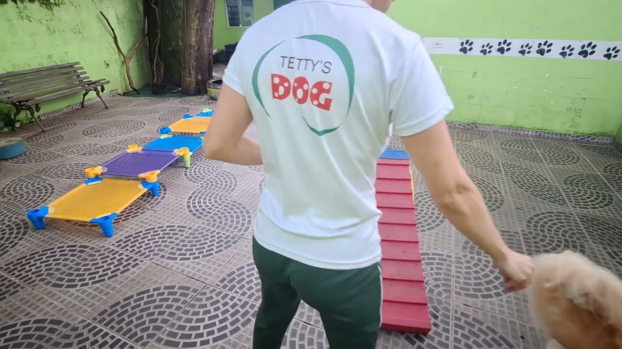 Percurso e Comando de Obediencia Turma 1