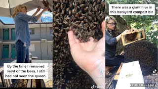 SHE SAVES BEES 🐝 | Texasbeeworks  Tik Tok |