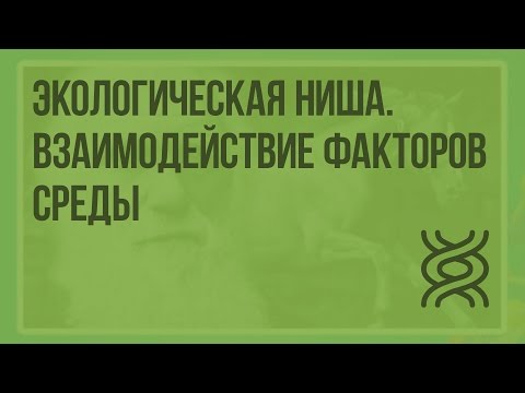 Экологическая ниша. Взаимодействие факторов среды. Видеоурок по биологии 11 класс