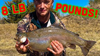 TROUT fishing Ogallala CANAL - Nebraska | HOW TO EASILY LIMIT!!