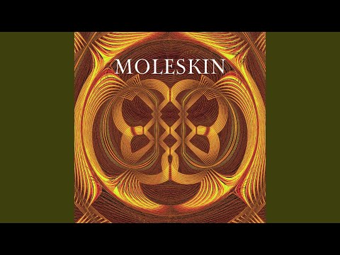 Regardez Hide in Noise sur YouTube