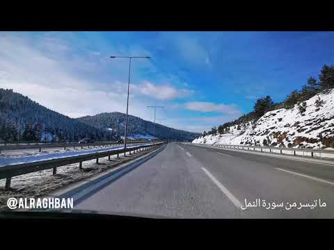 ما تيسر من سورة النمل - د. منتصر الرغبان ـ ثلوج تركيا 2021 قصة سيدنا سليمان والهدهد