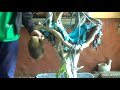 Rescued baby sloth Landon gets in the hammock and he&#39;s whisked away by the vet! Recorded 01/07/23