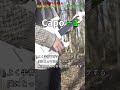 ギターを挫折しそうな人に見てほしい動画。#shorts#ギター#レビュー#AeroBandGuitar#AeroBand