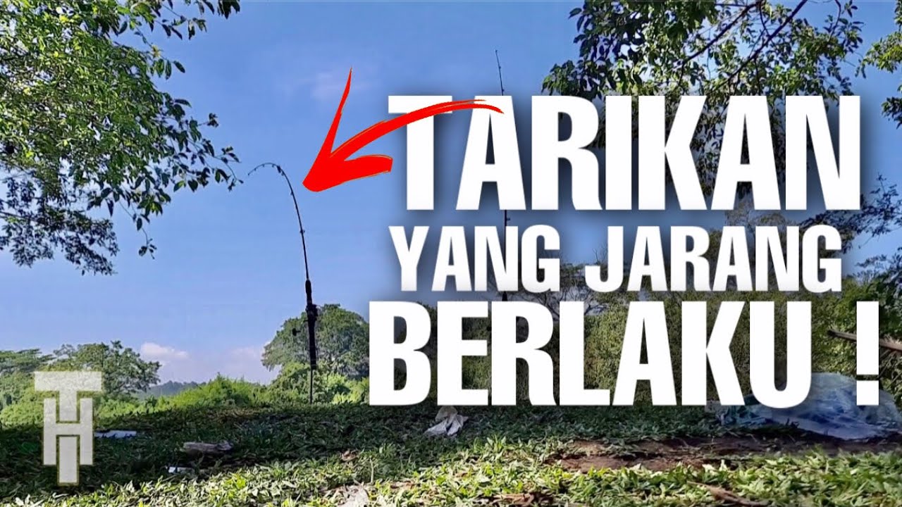 Tarikan si BAUNG KUNING 916 padu | PANCING MENYEMBAH BUMI.