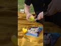 Simple hack for picnics