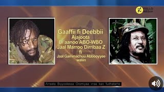 Gaaffiif Deebii Hooggantoota ABO-WBO JAAL MARROO DIRRIBAA fi Jaal GAMMACHUU ABBOOYYEE Kello medio