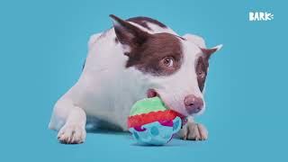 Holiday Bliss Brought To You By The Emotional Support Dogs at BARK  #superchewer #christmas #asmr by BARK 37,352 views 4 months ago 35 seconds