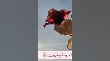 سورة المائدة - أرکان سلمان  #أرکان_سلمان#آل_عمران