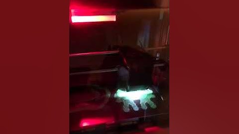 Fine test print of an owl