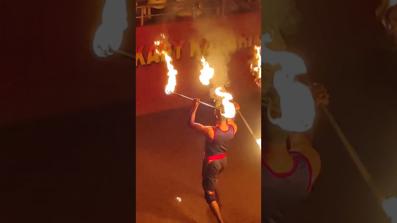 Thekkady kalari martial arts| Kerala martial arts | martial arts of India | #trending #viral #shorts