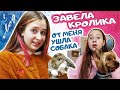 УСТАЛА от ШКОЛЫ. СОБАКА против  КРОЛИКА. Джессика меня бросила. DiLi Play Vlog