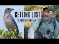 Looking for birds in the quiet parts of Jonathan Dickinson State Park