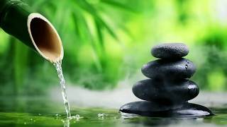 Bamboo Water Fountain Healing & Relaxing Music No Ads 24/7 自然の音とともに音楽をリラックス バンブーウォーターファウンテン【癒し音楽BGM】
