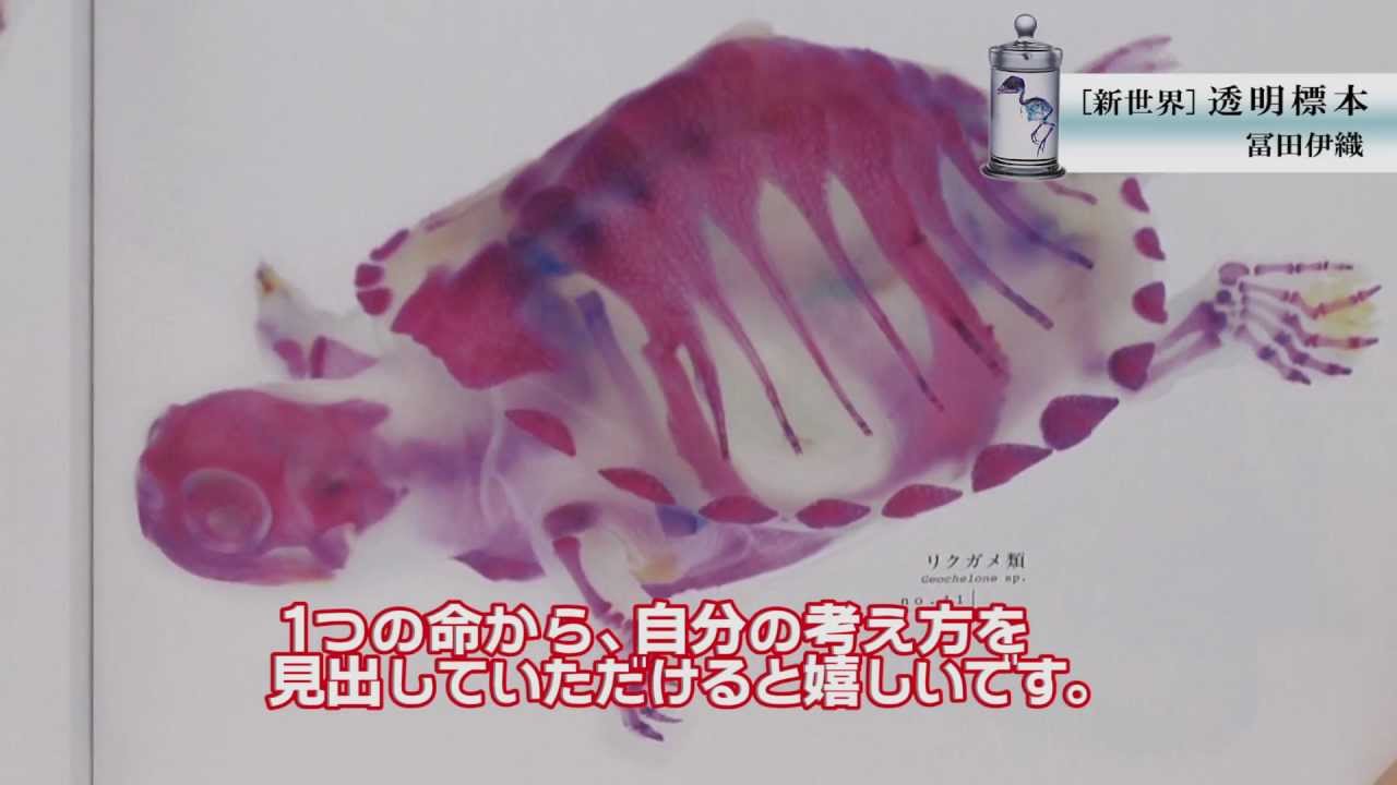 Iori Tomita 