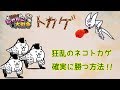 [スイッチ版]狂乱のネコトカゲの勝ち方！フィリバスターってチート？[ふたりで!にゃんこ大戦争]