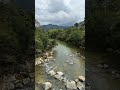 Amo la naturaleza cuídala Luz Estella Betancur Ruiz tu asesora de seguros 3127764257 Medellin