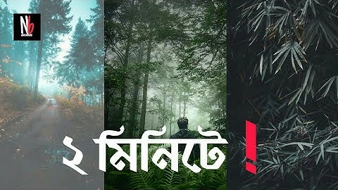 Moody brown effect in the photo with mobile | Adobe lightroom Bangla tutorial |  NB PRODUCTION PRO