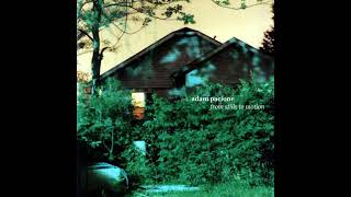 Adam Pacione – From Stills To Motion (2007)
