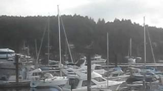 Nice Yachts in Ganges Harbor on Salt Spring Island