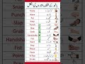 Hand Gestures Vocabulary With Pictures Urdu Translation Learn English Easily Lesson 256 Hand Gestures Vocabulary With Pictures Urdu Translation Learn English Easily Lesson 256