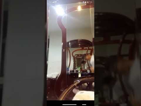 ده احمد يا جدعان كنا بنصور فيديو