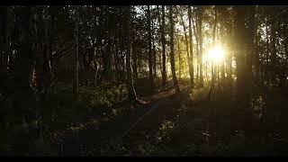 3151482 hd 1366 720 24fps