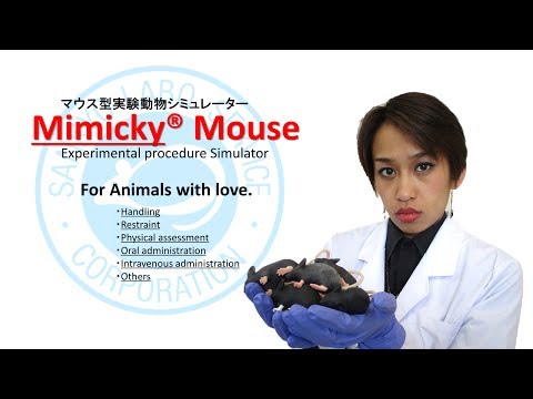 Mimicky Mouseの使用例 尾静脈注射 Youtube