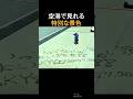 空港で見れる意外な景色　