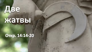 Две жатвы (Откр. 14:14-20)