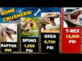 Dinosaur Bite Force Comparison | Who Really Had The Deadliest Bite? 🦖