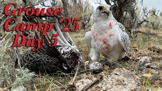 Grouse Camp 2025, Day 5 (October 10, 2025)