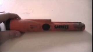 Full Garrett Pro Pointer AT Review Update