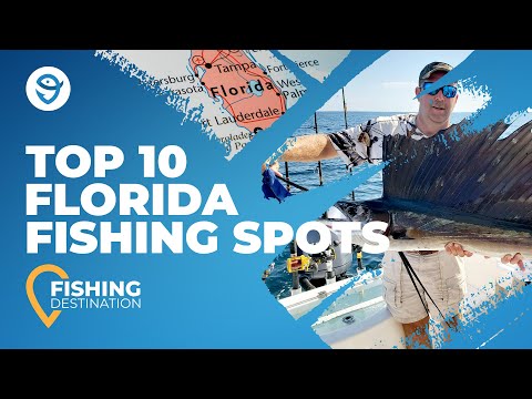 Video: Top Florida Piers für Reisende und Angler