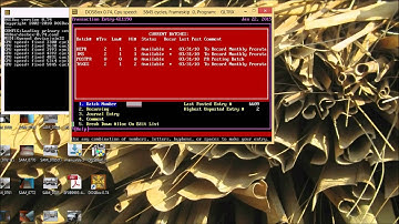 Great Plains DOS on Windows 8 64 bit in full screen mode