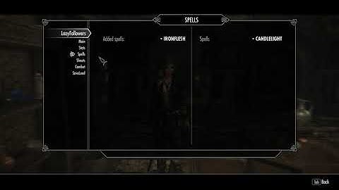 Skyrim Se: Make your own followers ingame