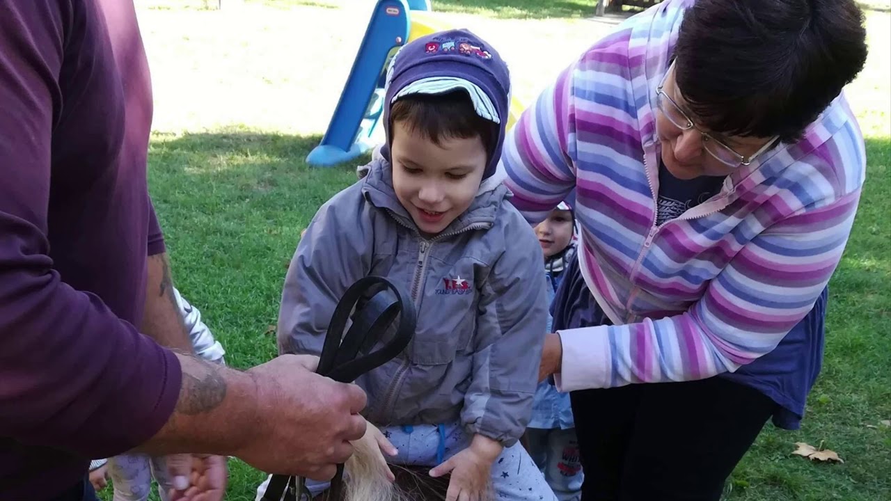 Bemutatkozik a Százszorszép Bölcsőde(Szombathelyi EBI)