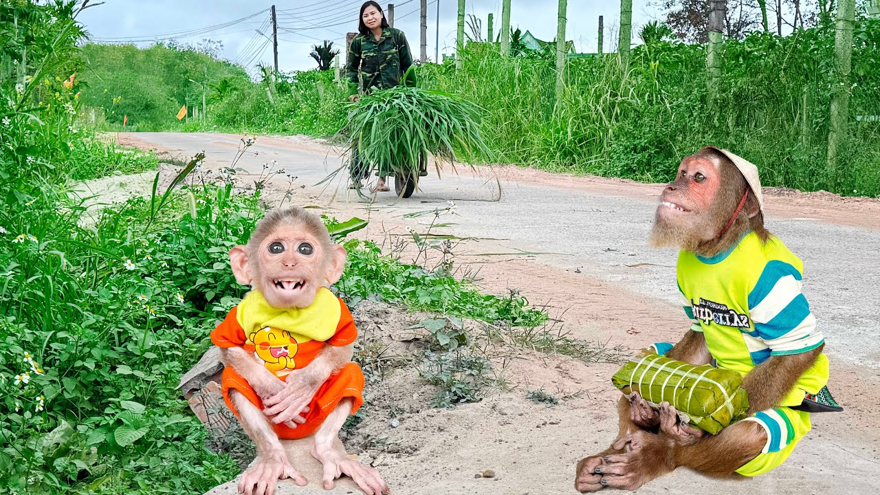 CUTIS & Buem Go to Market, Caring for Mom with Sweetest Love