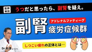 【医師解説】うつと思ったらまず副腎を疑え！副腎疲労症候群。