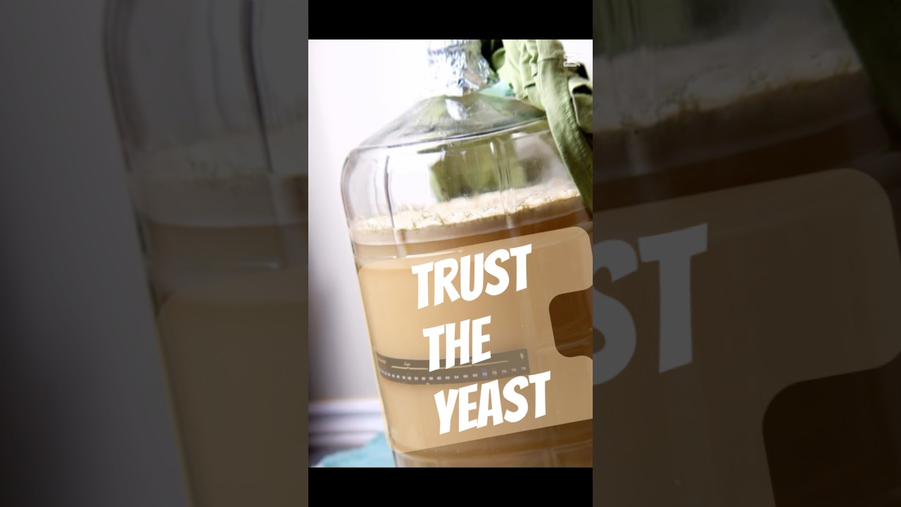 Tried open fermentation on this batch of saison. Did I nail it? Let me know your thoughts!