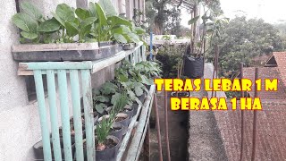  In The Urban Here Are Gardening Ideas On A Super Narrow Terrace