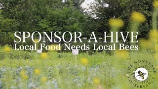 Local Food Needs Local Bees: Sponsor A Hive