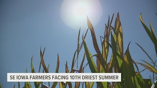 Drought, but not out: How SE Iowa farmers are battling record-low rainfall | WQAD News 8