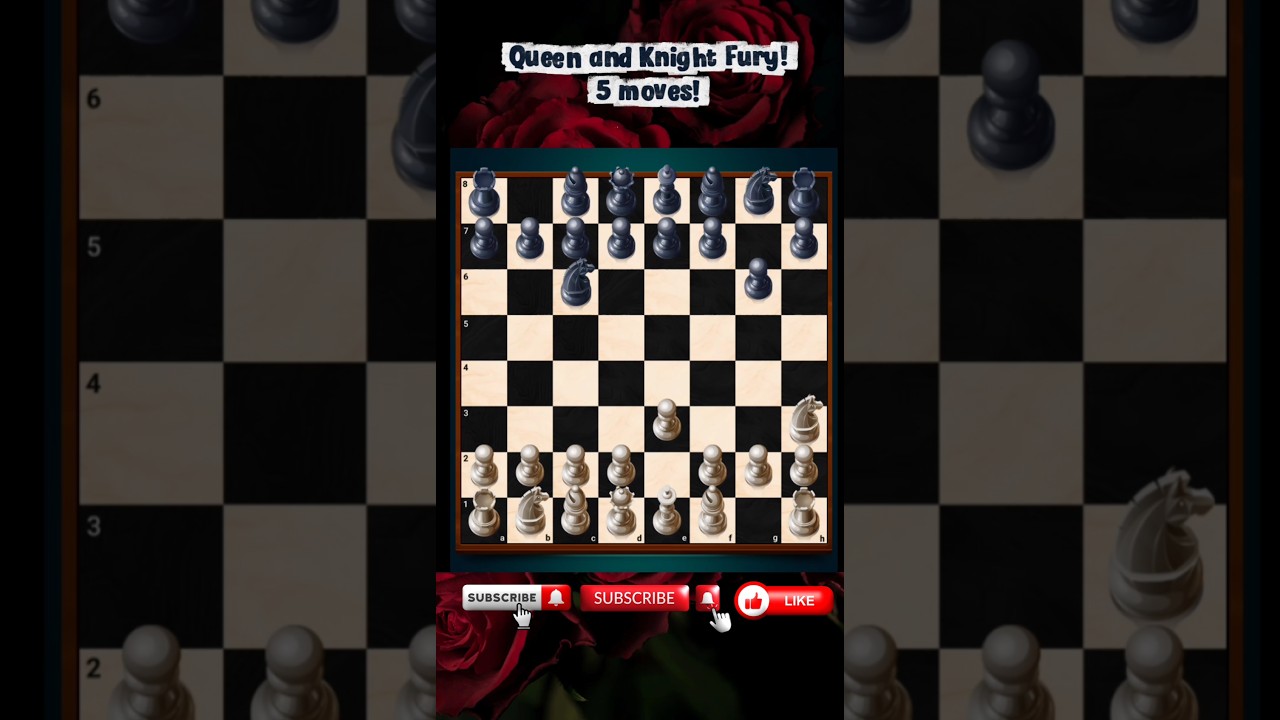 5-move Checkmate! 