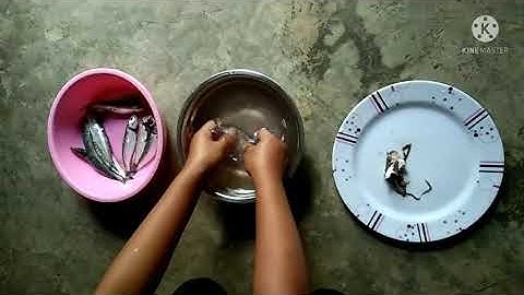 Class fish processing and packaging project