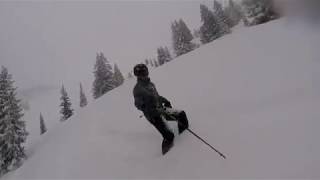Powder Day -  Donnersbachwald 2018-02-02