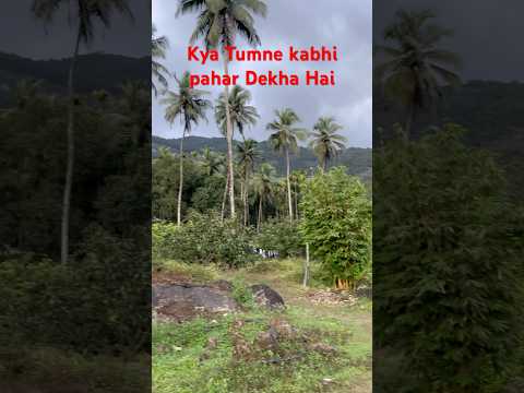 Have You Ever Seen A Mountain